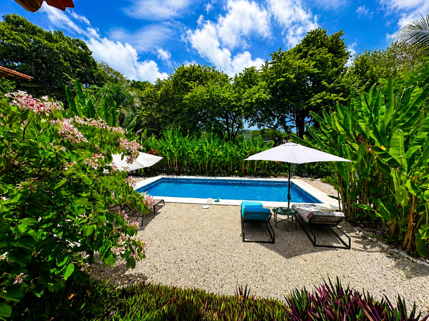 Loft 1 — jardín